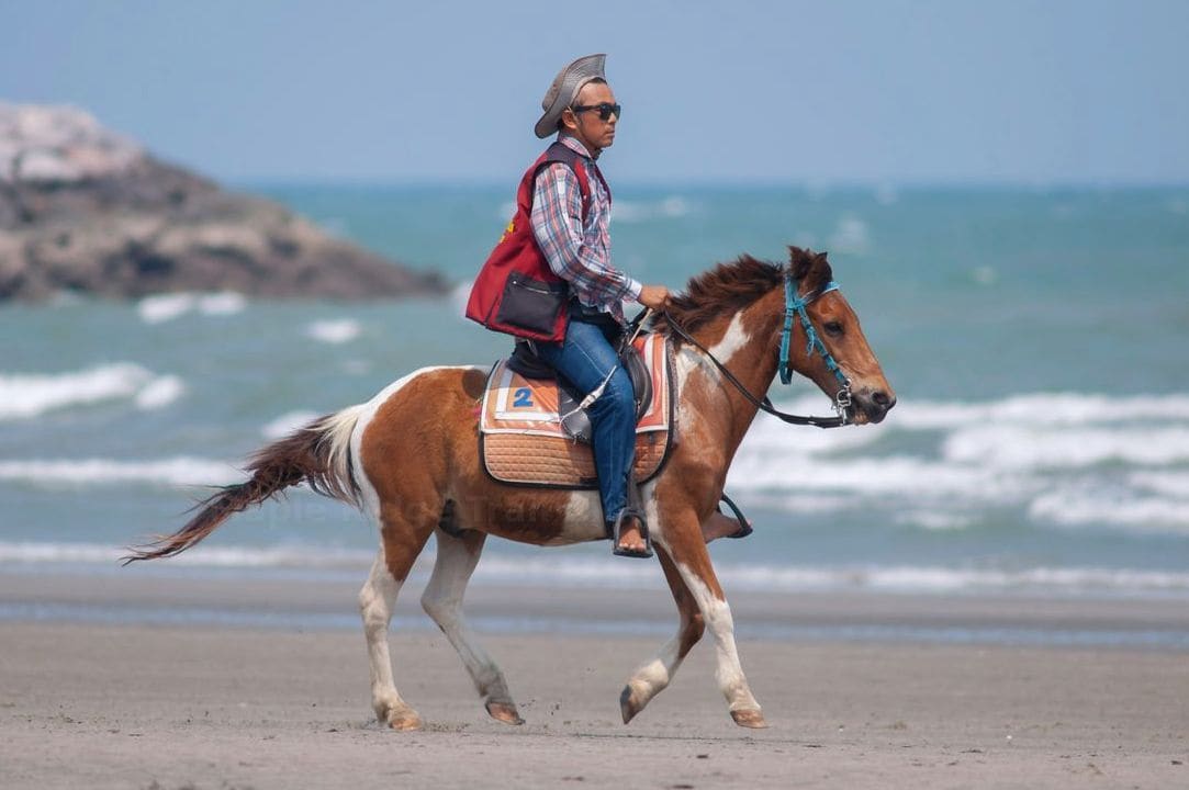 Maple Ridge Trail Rides 14