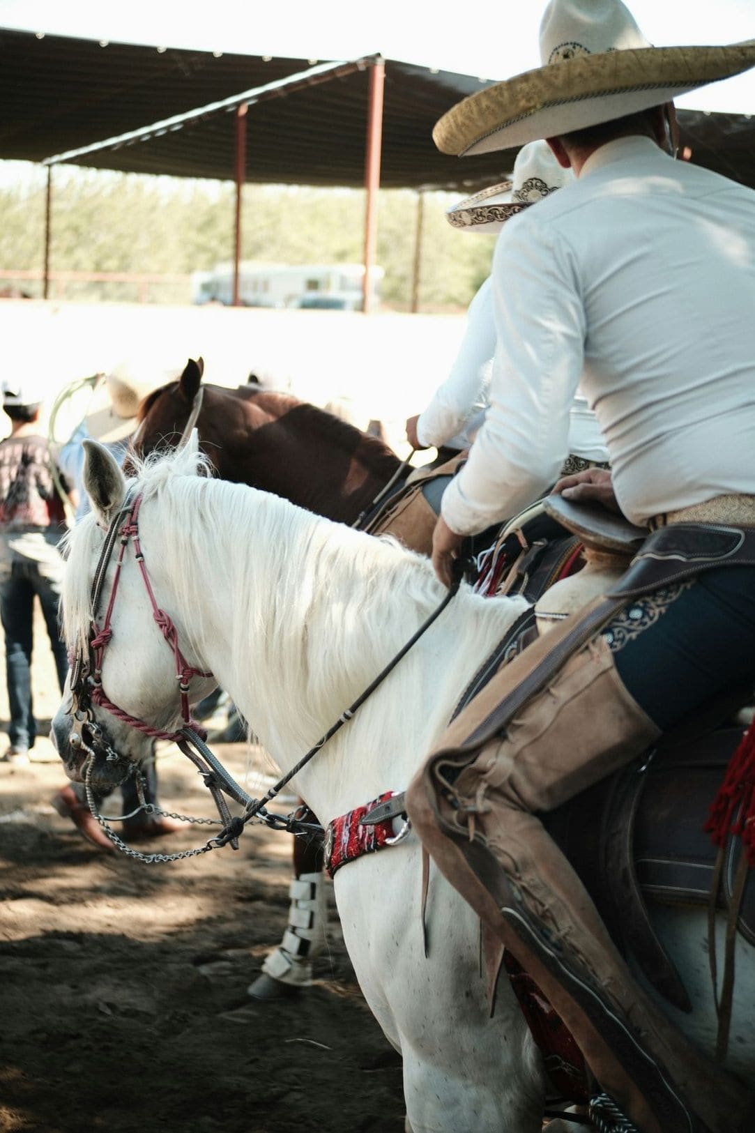 Maple Ridge Trail Rides 2