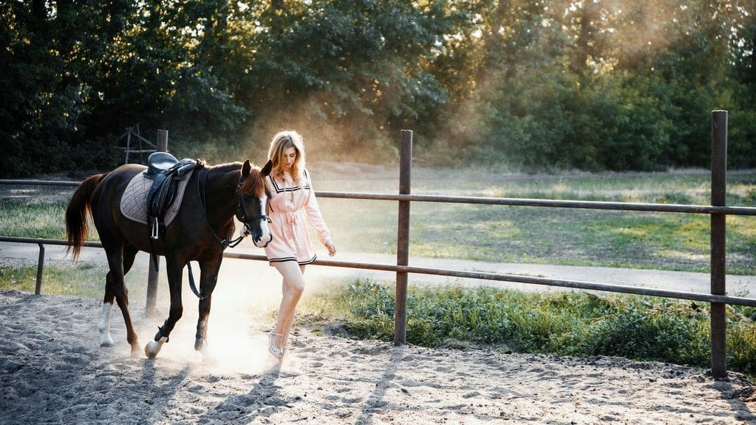 Guided scenic trail rides