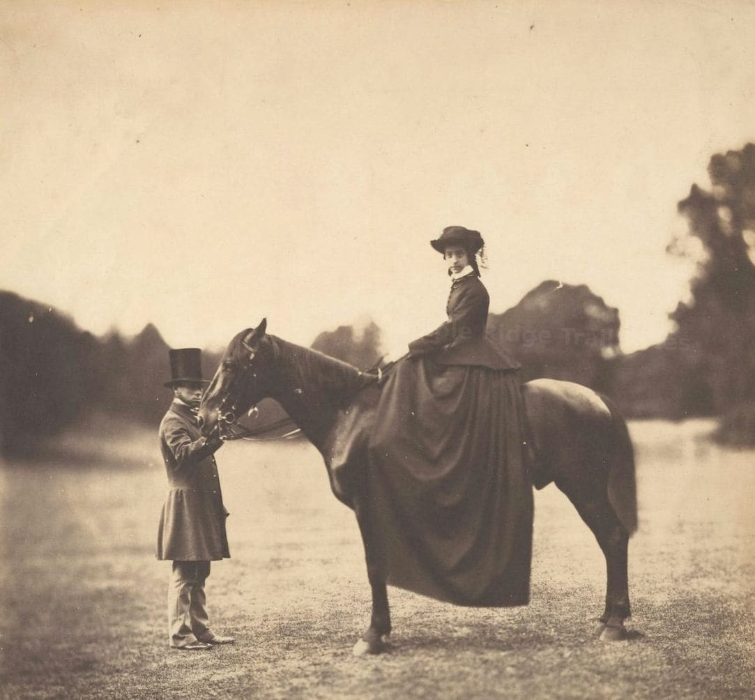 Beginner horseback riding lessons