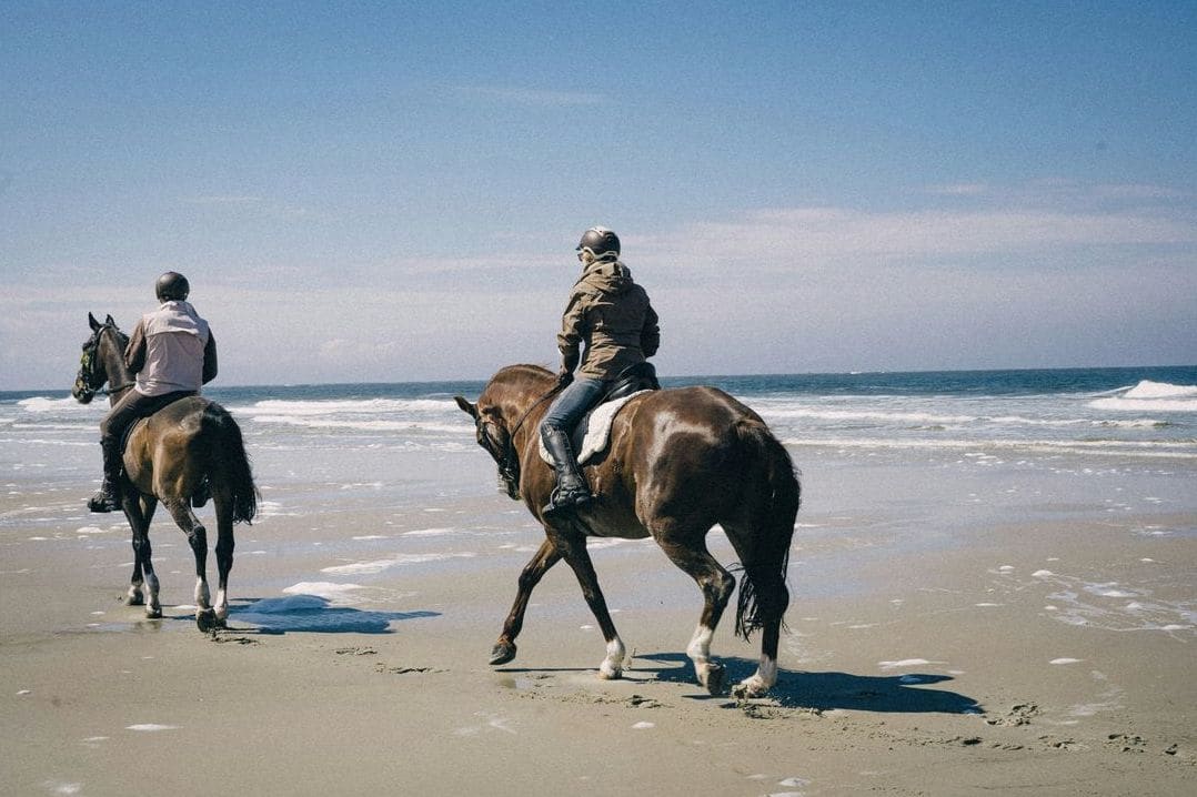 Private riding sessions