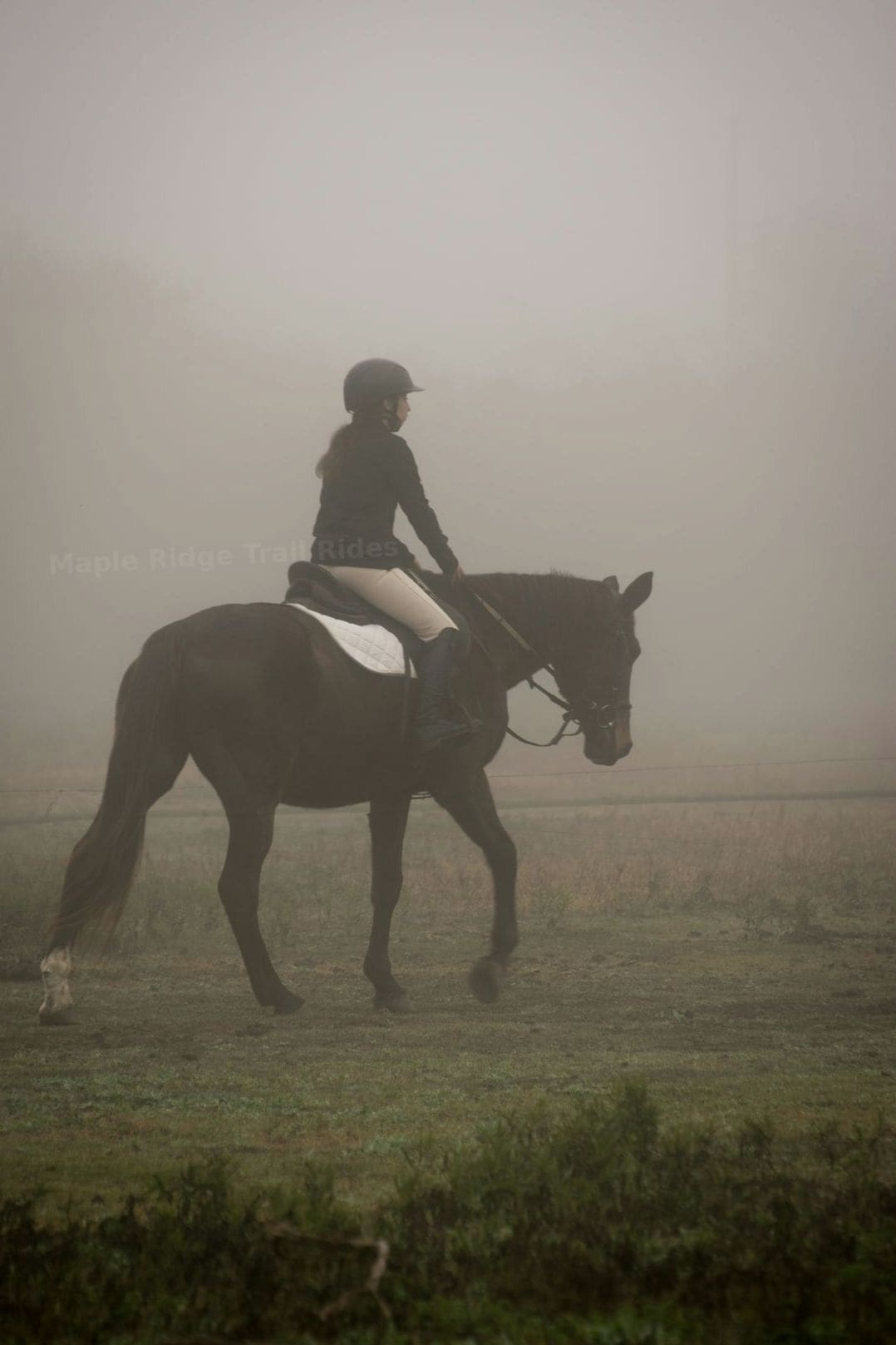 Family-friendly riding experiences