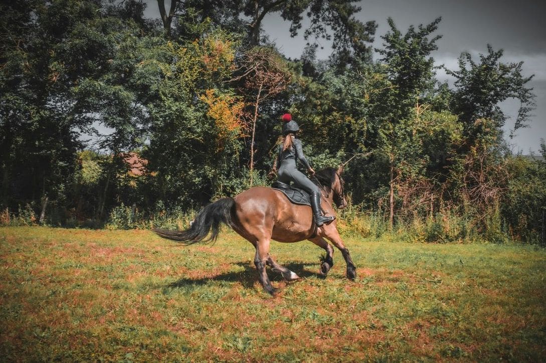 Group riding tours