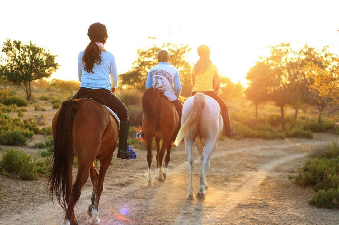 Horse care and riding basics clinics